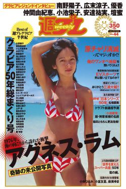 决战燕子门电视剧全集